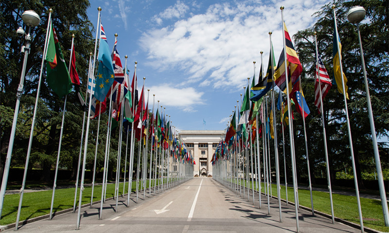 United_Nations_Flags