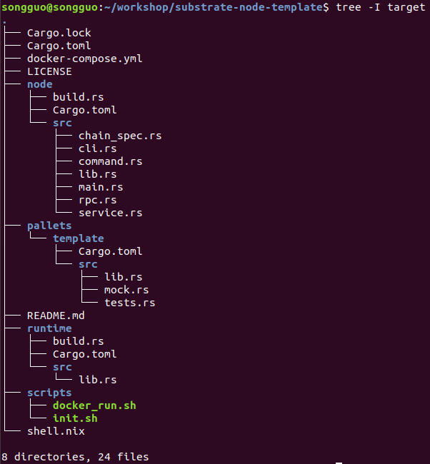 【Substrate开发教程】24 - substrate-node-template项目结构详解