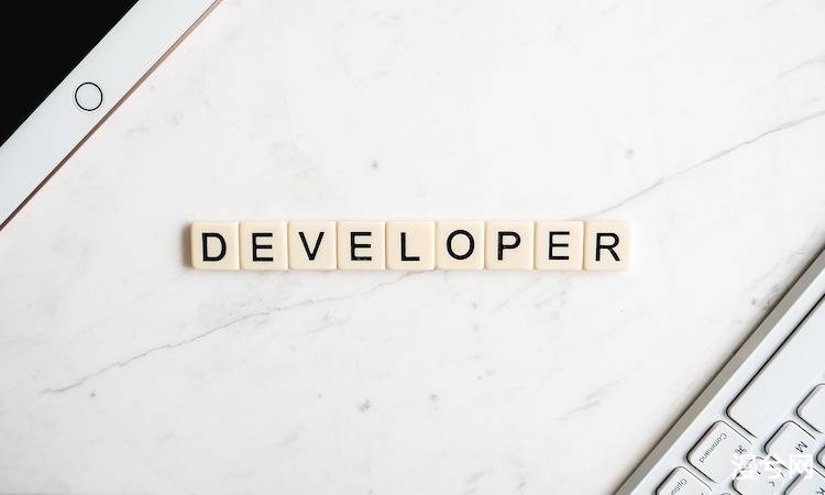 developer