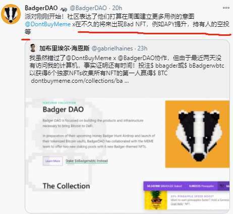 各环节都搞事，可能的新一个大家伙-Badger| Cosmos里近期两个值得关注的币AKT和LUNA