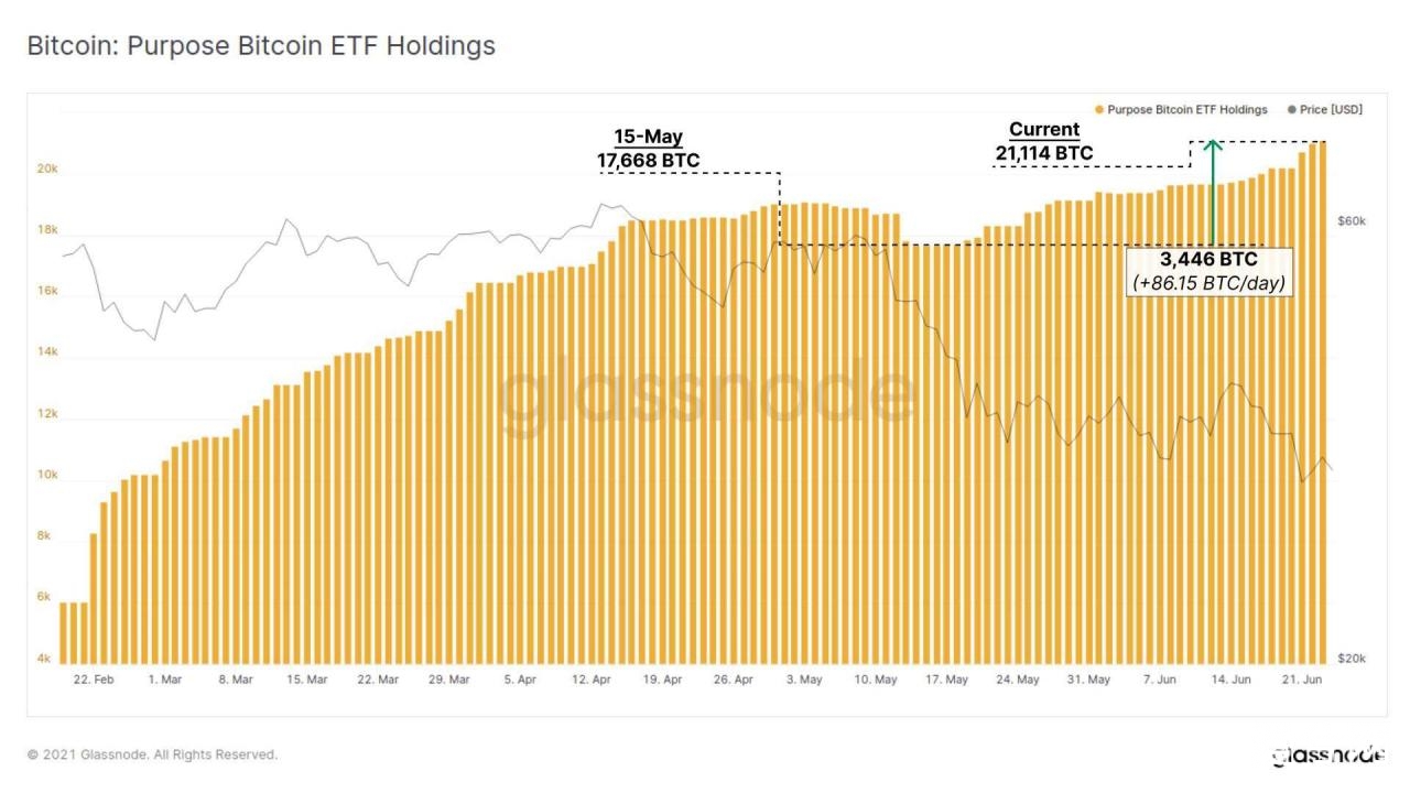 全球首只比特币ETF在比特币下跌期间每天增持300万美元BTC